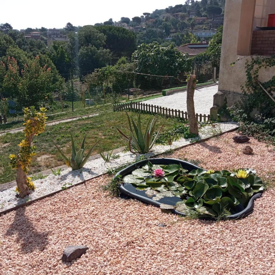Blanca 10 Minutos De La Playa Costa Brava Casa vacanze Massanet De La Selva